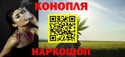 МДПВ Брянск
