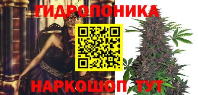 MDMA Братск