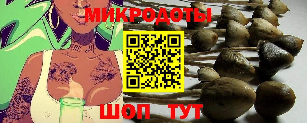 Белово  Псилоцибиновые грибы Psilocybe  Вход с VPN 